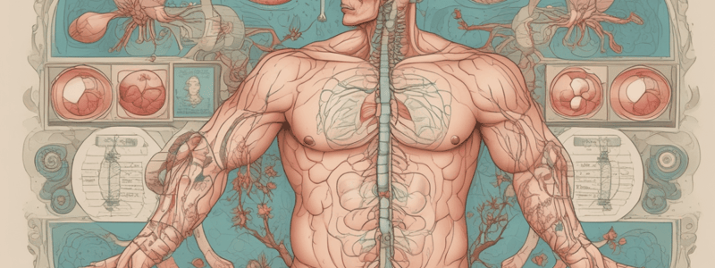 Hormones and Endocrine System