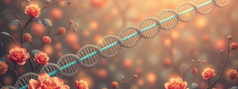 Transcription and RNA Synthesis Quiz