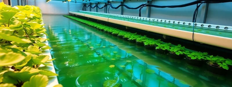 Commercial Aquaponics Guide 2020