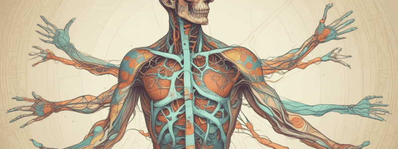 Functions of the Lymphatic System