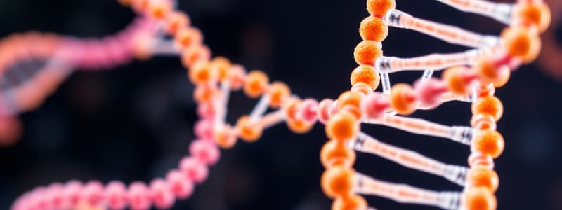 Biological Significance of Nucleic Acids