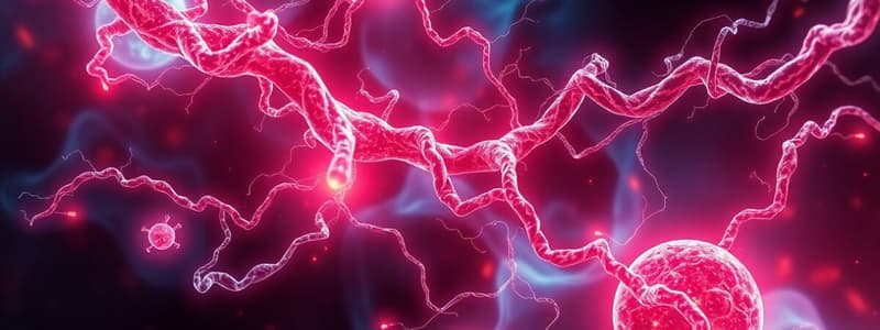 Anabolic Pathways and Gluconeogenesis