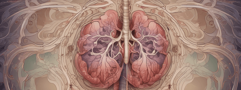 Breathing and Exchange of Gases