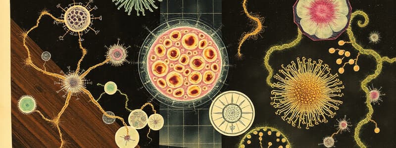 Survey of Prokaryotic and Eukaryotic Cells