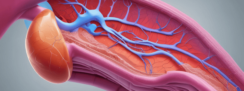 Bright's Disease and Kidney Pathologies