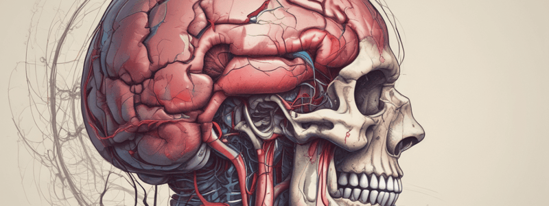 Cerebrovascular Accidents and Hemorrhages