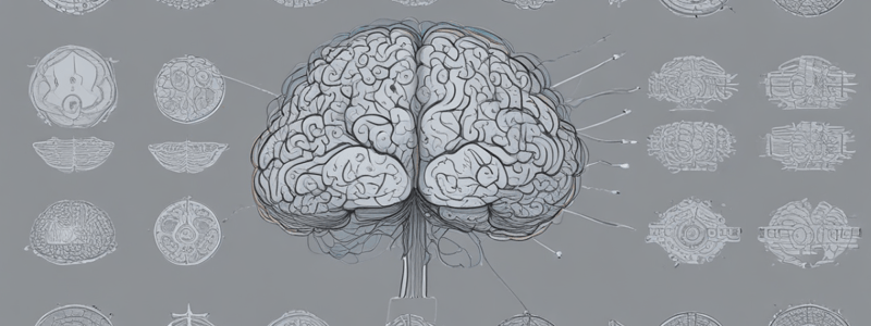 ERP and EEG in Linguistic Studies