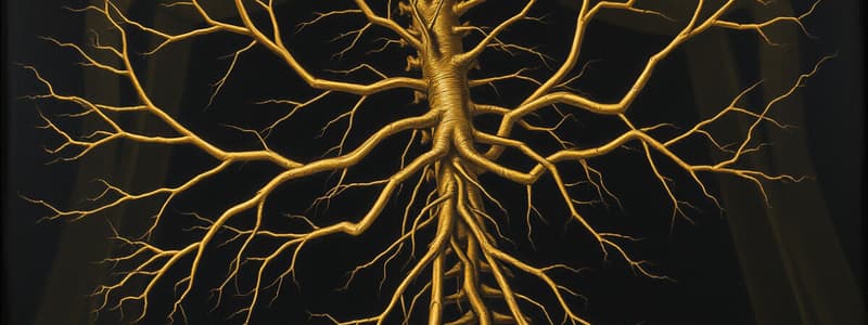 Nervous System Overview