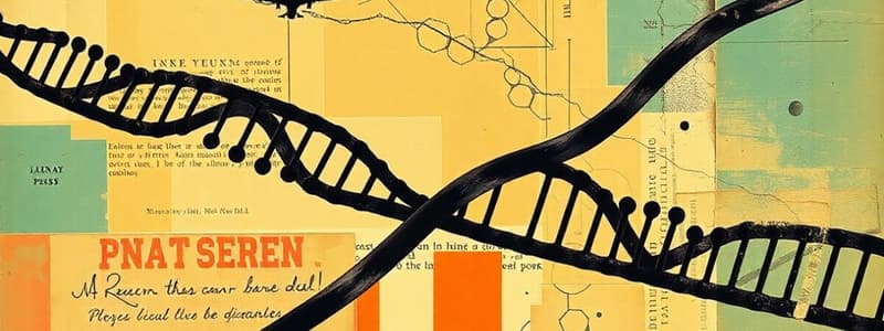 RNA Structure and Function Quiz