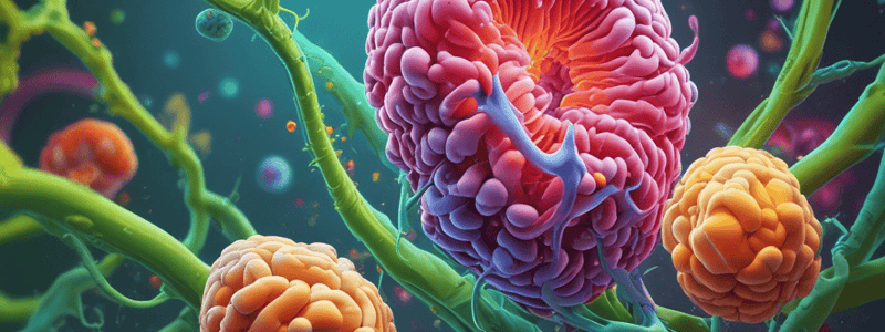 Characteristics of Enzymes