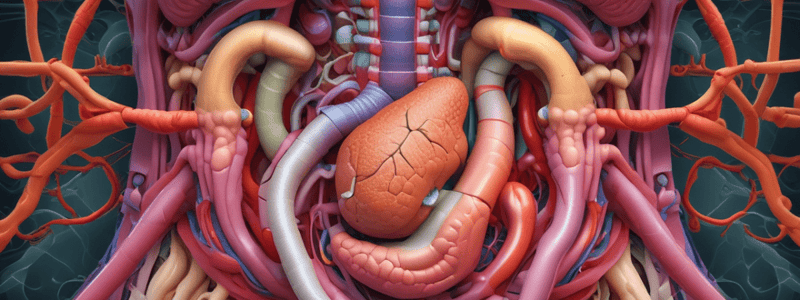 Digestive System Chapter 23.1 Quiz