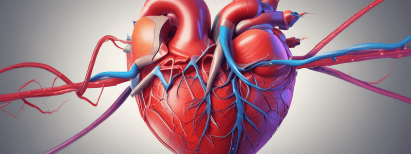 Classification of Arrhythmias