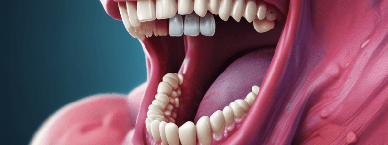 BMS 133: Oral Cavity, Palate, and Tonsils Hypertrophy Quiz