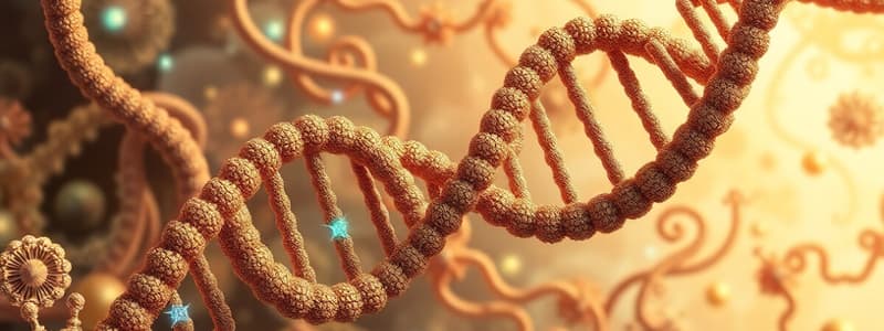 DNA Packaging and Eukaryotic Organization