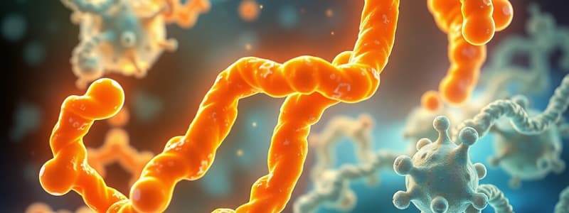 Chemical Level of Organization: Enzymes