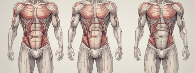 Gross anatomy Week 5