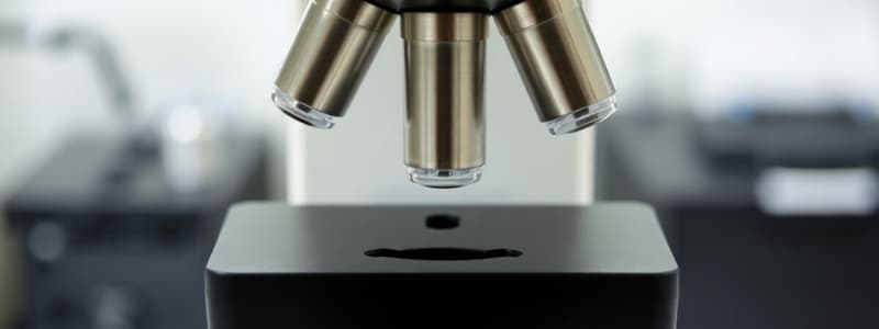 Microscopy Overview and Fundamentals