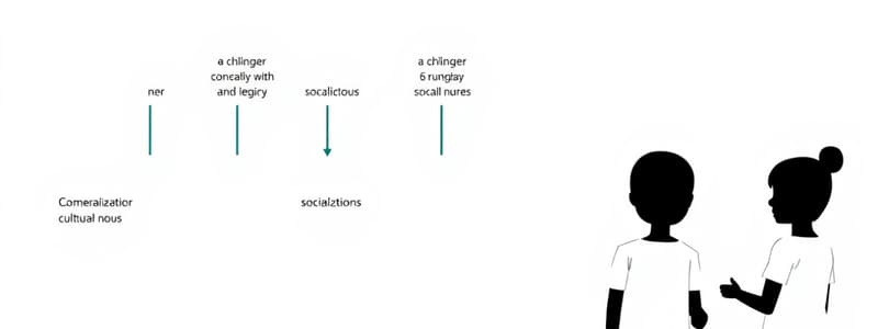 Socialization Process Overview