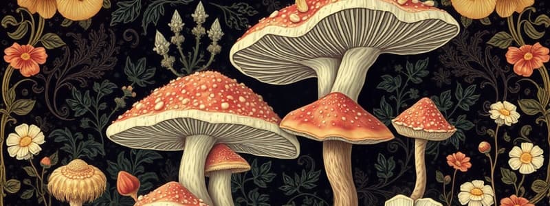 Quiz sur les Fungi : Ascomycètes et Polypores