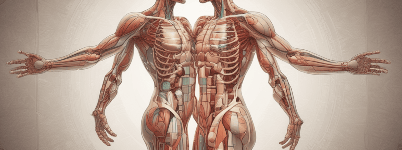 Fluid and Electrolyte Balance in the Body