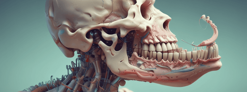 Dentística: Matrices para Clases IV