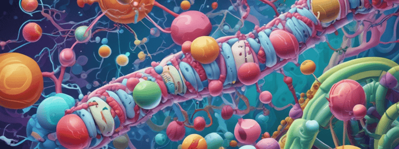 Lactose Operon Regulation