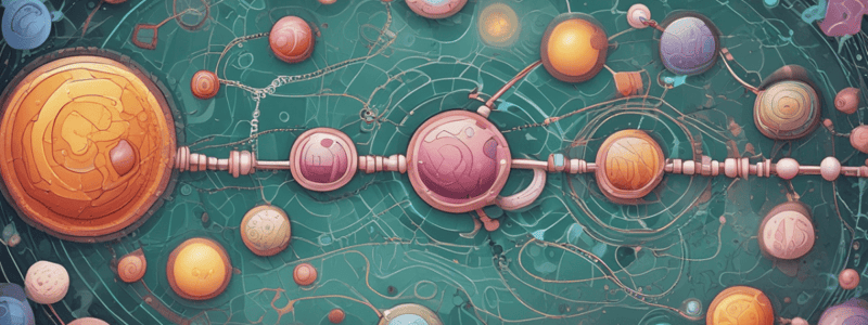 Glucose Metabolism and Energy Production