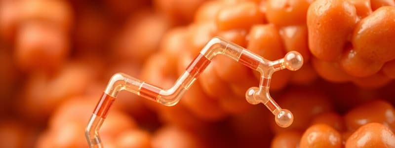 Cholesterol Synthesis, Transport, and Circulation