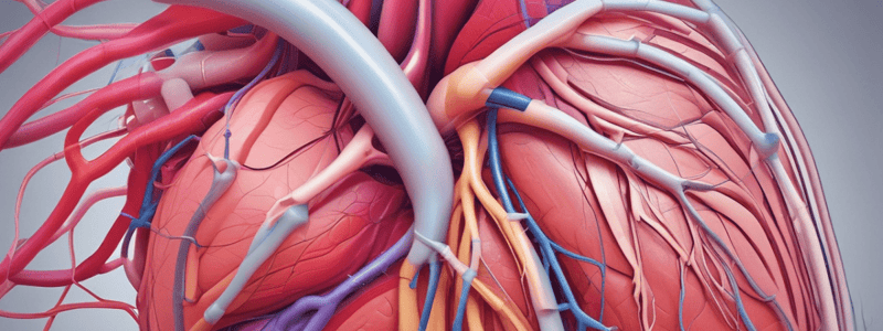 Mean Arterial Pressure Calculation