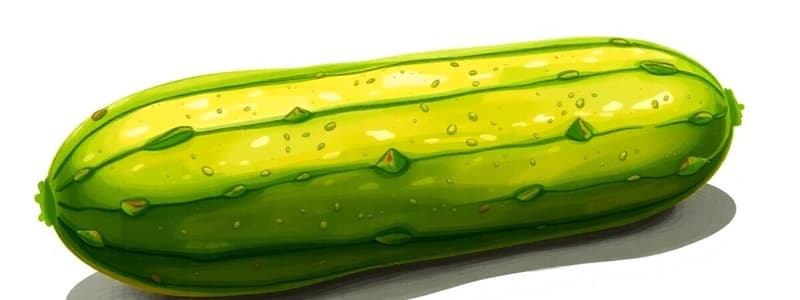 Culinary Quiz: Understanding Pepino