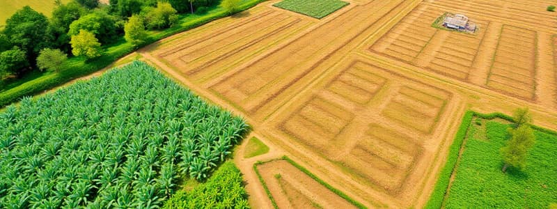 Land Take and Agriculture in the Caribbean