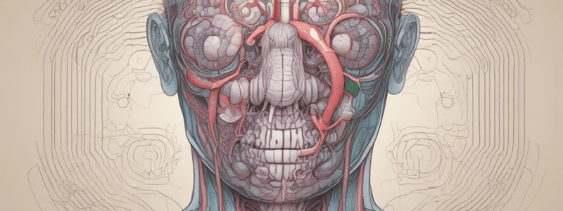 Respiratory System