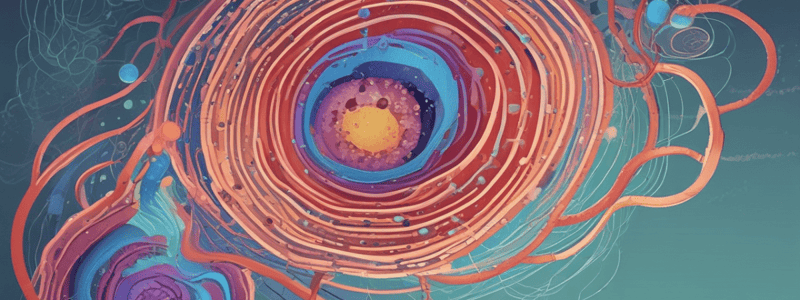 Nuclear Envelope and Molecule Transport