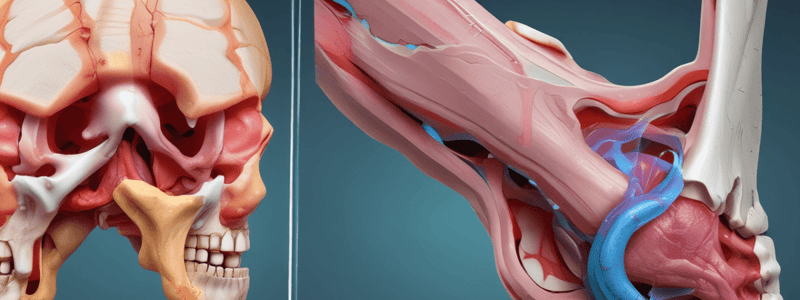 Signs and Symptoms of Bone Fractures