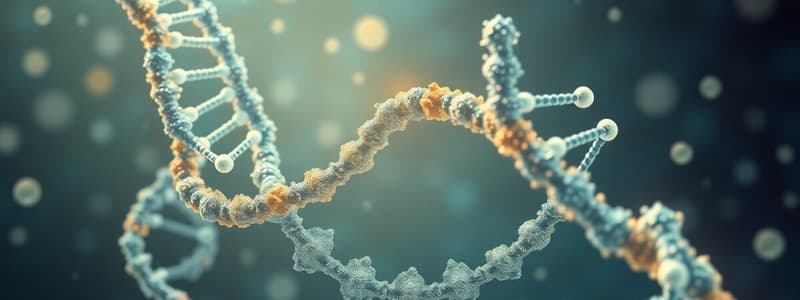 Nucleic Acids: Nucleotides, Sugars and Nitrogenous Bases