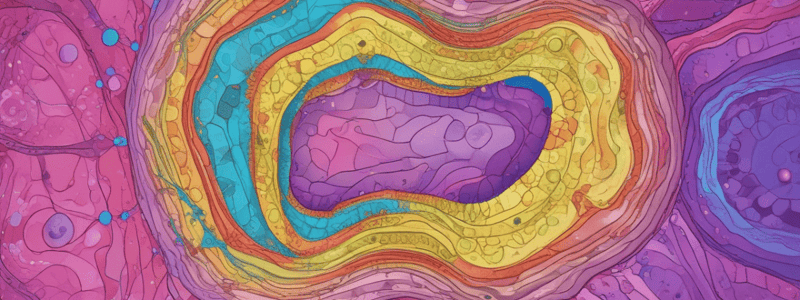 Epithelial Tissue Structure and Development