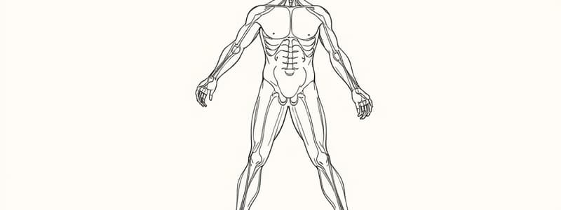 Insulino-resistenza e metabolismo energetico (Fisiologia 58)