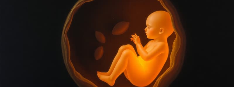 Etapas del Desarrollo In Utero - Periodo Embrionario