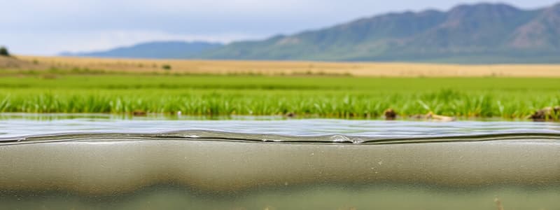 The Water Cycle and Its Importance