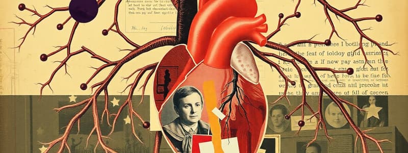 Circulatory System Overview