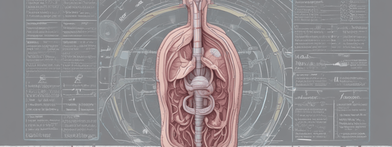 Renal System: RAAS and Filtration Mechanism