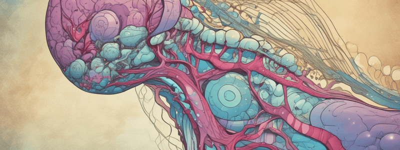 Physiology of the Anterior Pituitary Gland