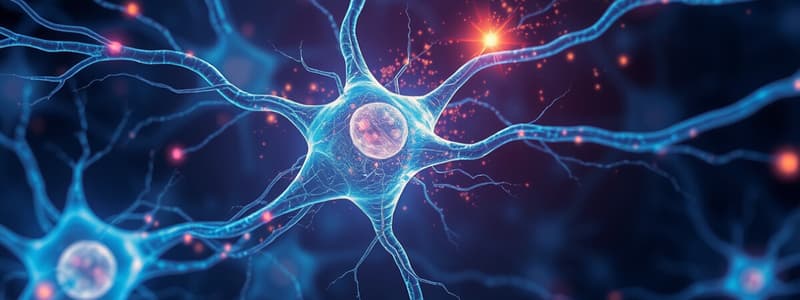 Neurotransmitters and Neuron Firing