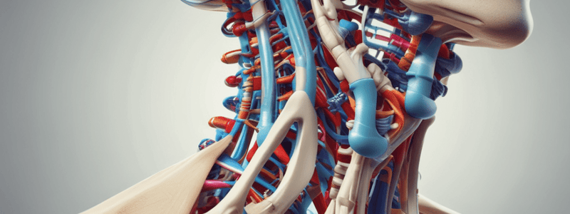 The Cervical Spine PP6012 Quiz