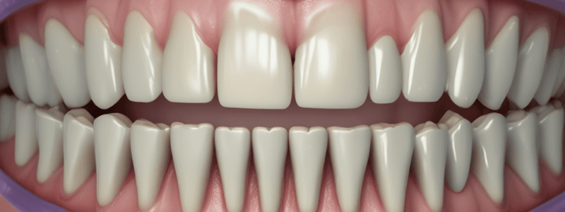 Dental Occlusion Relations