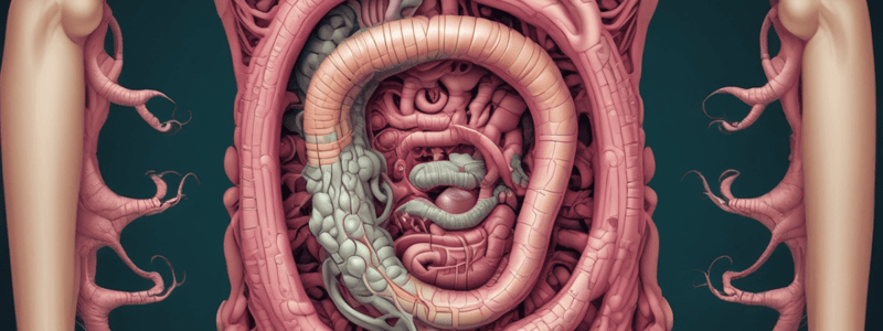 Functions of the Large Intestine