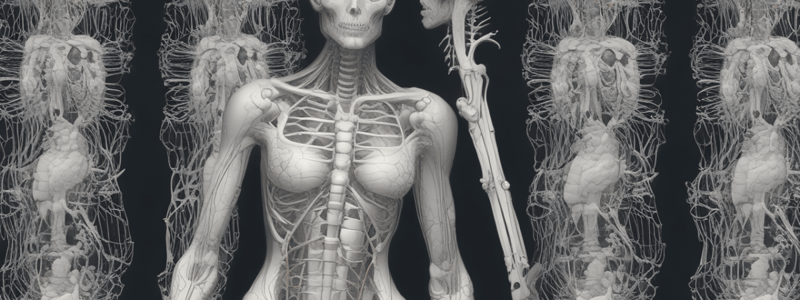 Respiratory Anatomy 1.5