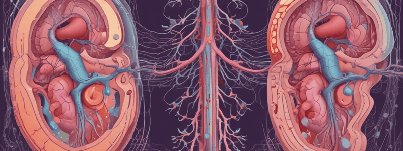 Nephrology: Stages of Acute Kidney Injury