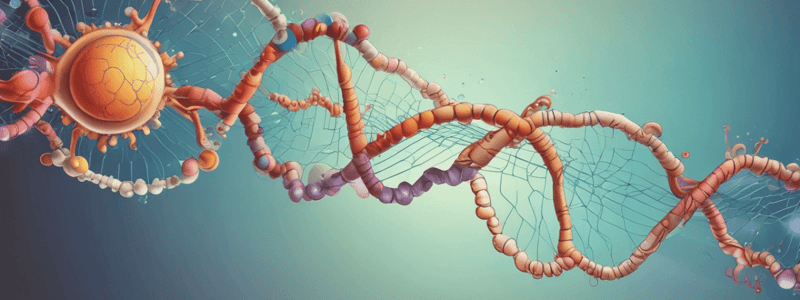 Types of RNA Molecules