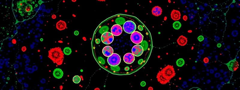 Biologie Cellulaire: Réplication et Cytogramme